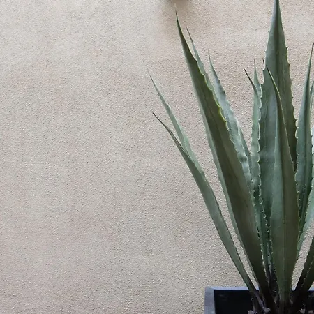Palace Modern At The Plaza - Premium King 8 Hotel Santa Fe