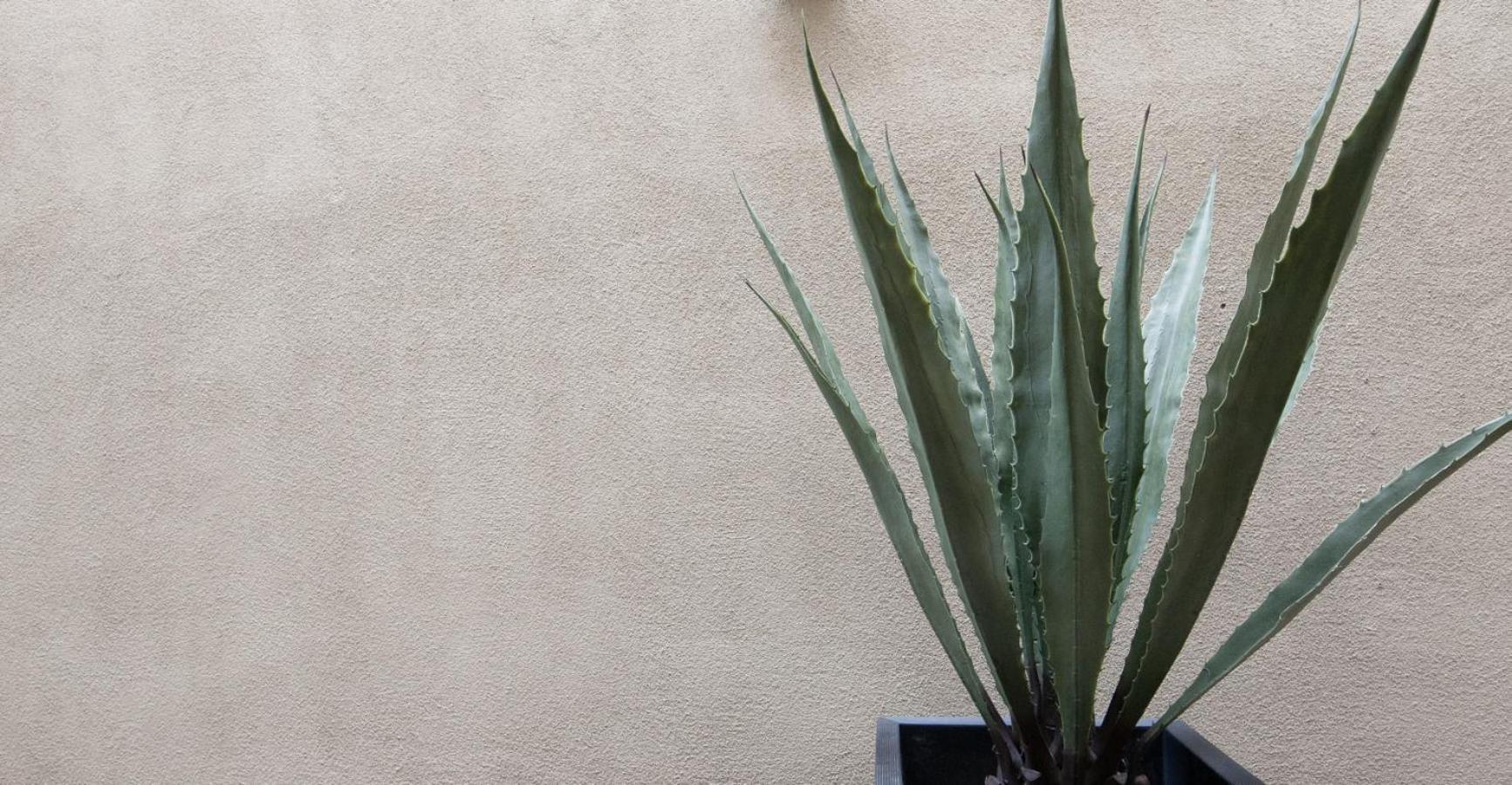 Palace Modern At The Plaza - Premium King 8 Hotel Santa Fe